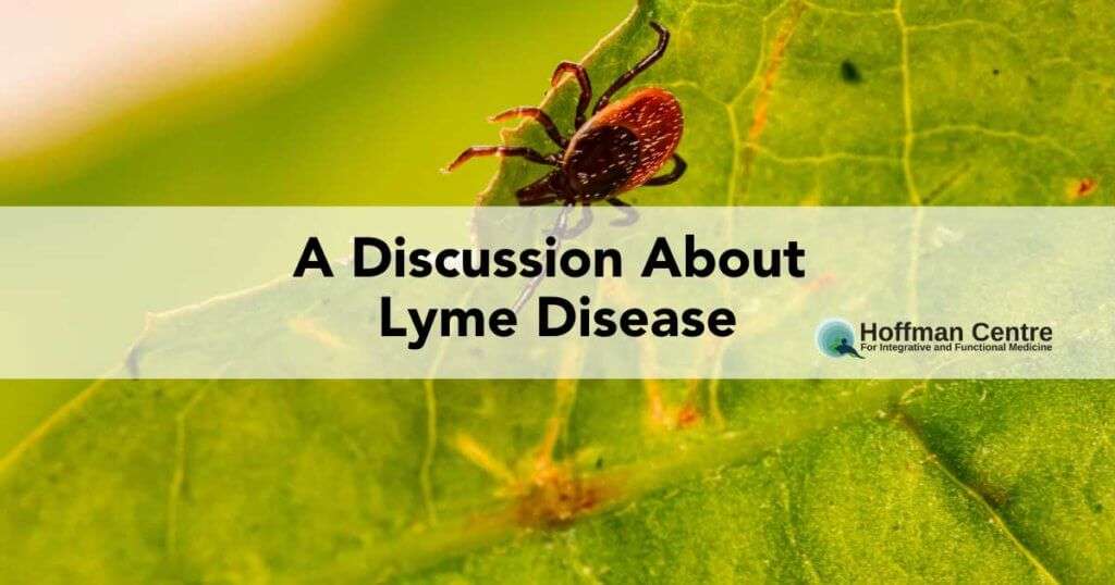 A Discussion About Lyme Disease