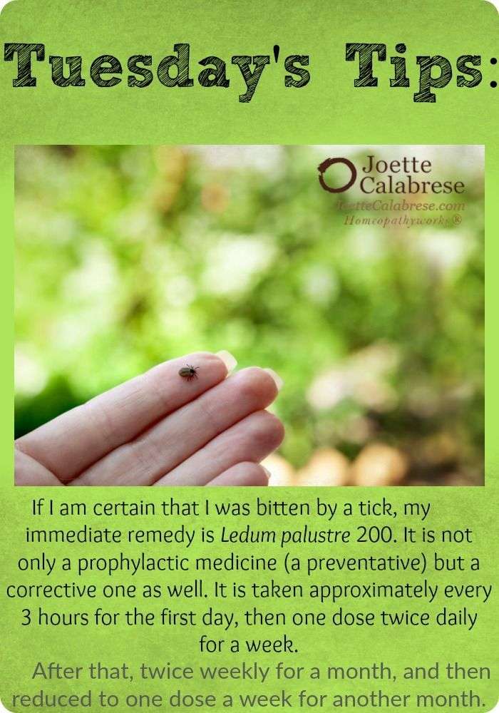 For tick bites and Lyme disease.