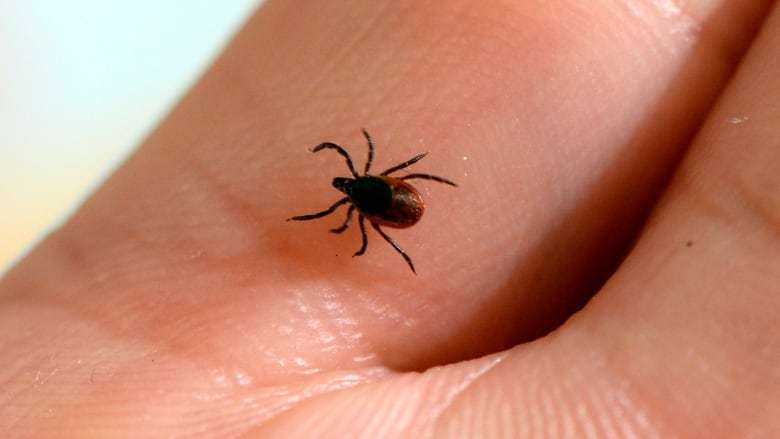Get ready for Lyme disease