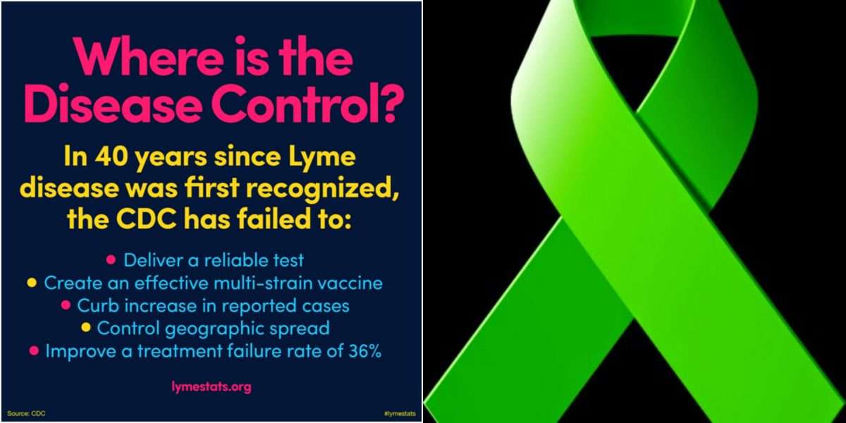 Lyme advocates say: