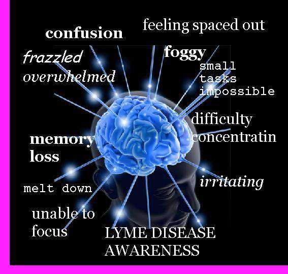 Lyme And The Limbic System