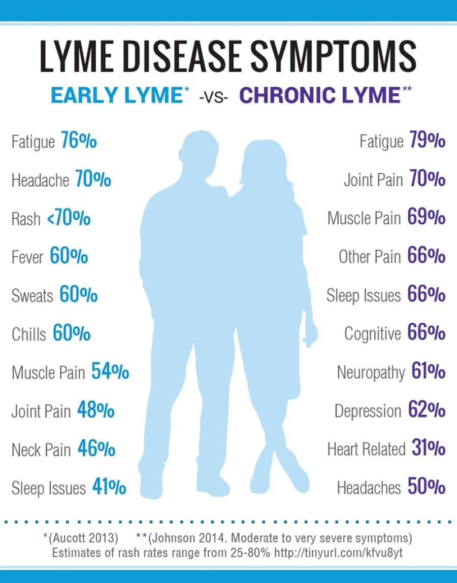 Lyme Disease Awareness &  Treatment