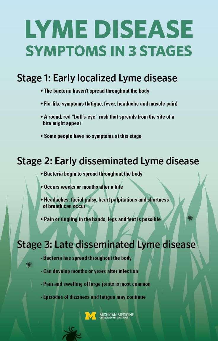Lyme Disease Stages, Signs and Symptoms: Everything You Need To Know ...