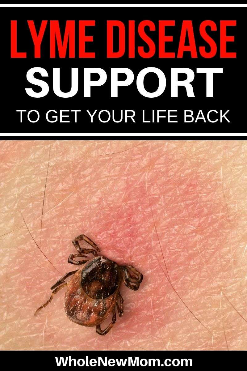 Lyme Disease Support