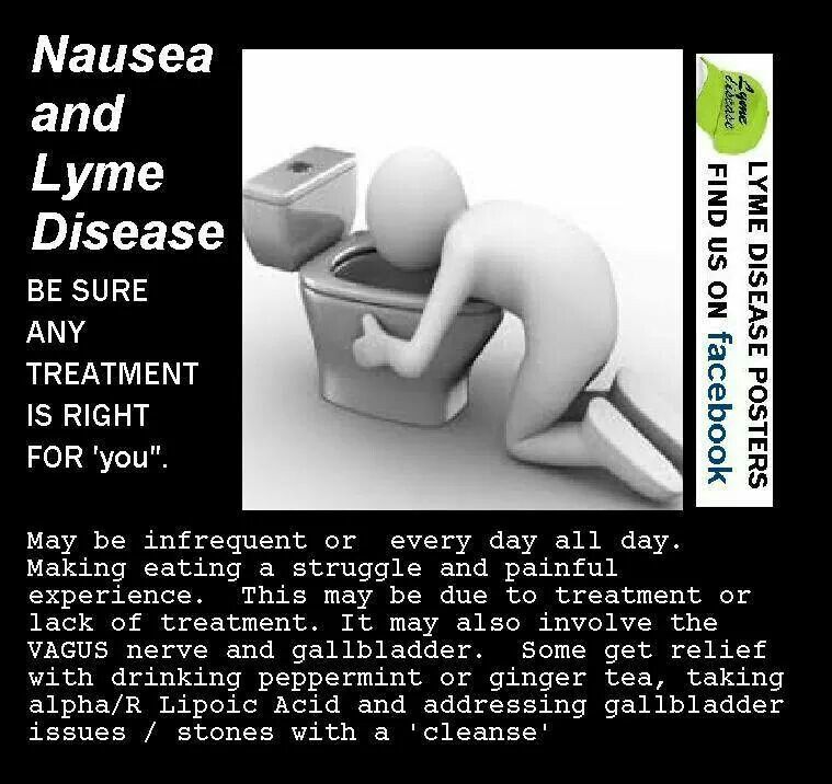 Nausea and Lyme Disease (With images)