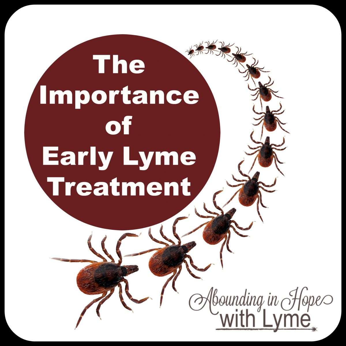 The Importance of Proper Treatment for Early Lyme Disease  Abounding ...