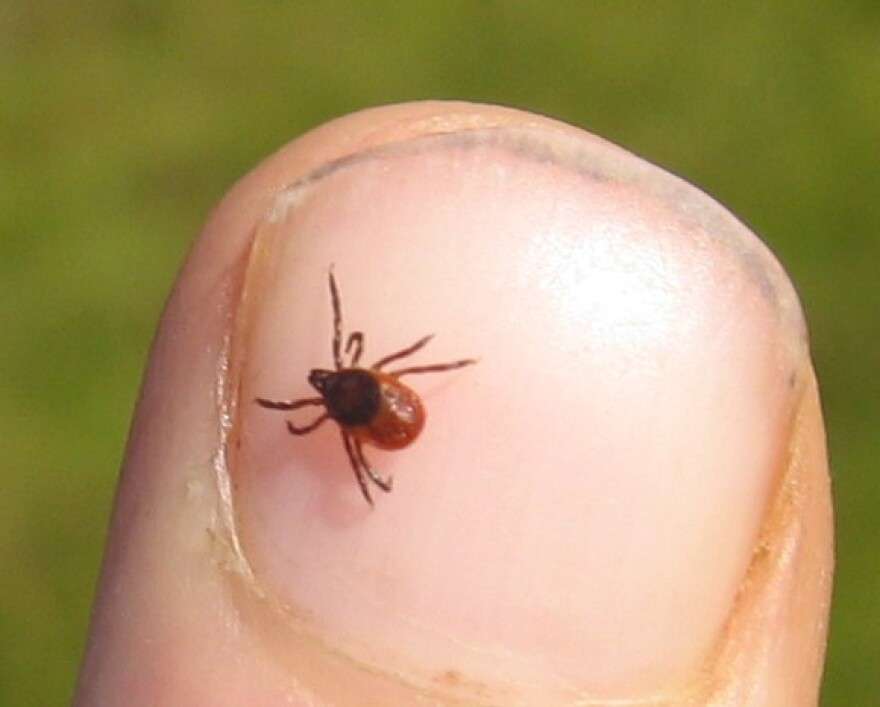 Bill Would Require More Insurance Coverage For Tick