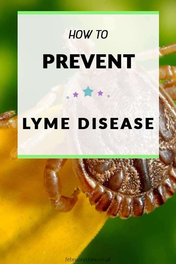 Learn How to Prevent Lyme Disease: Lyme Disease Awareness  February ...