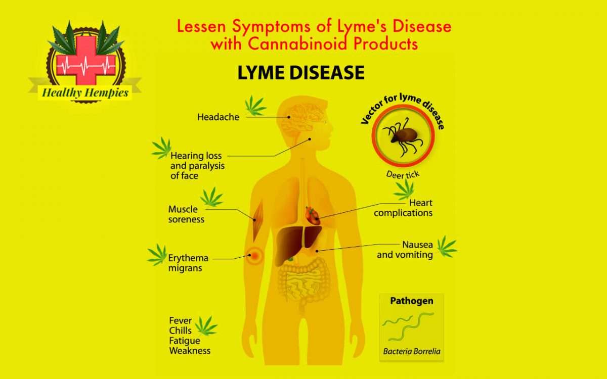 Lessen Symptoms of Lyme