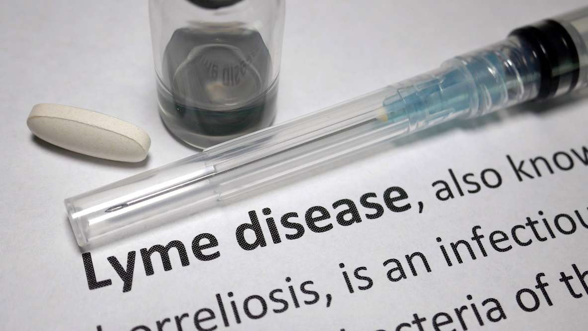 Lingering Symptoms May Persist After Treatment of Lyme Disease ...