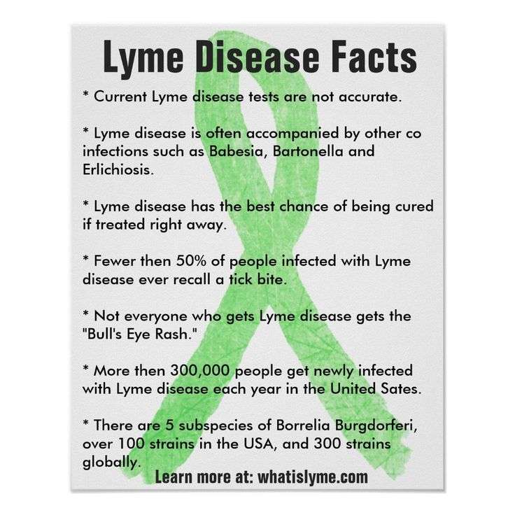 Lyme Disease Facts Educational Poster