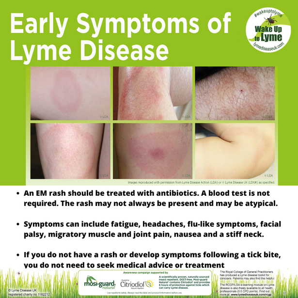 Lyme disease lockdown alert as more venture outdoors