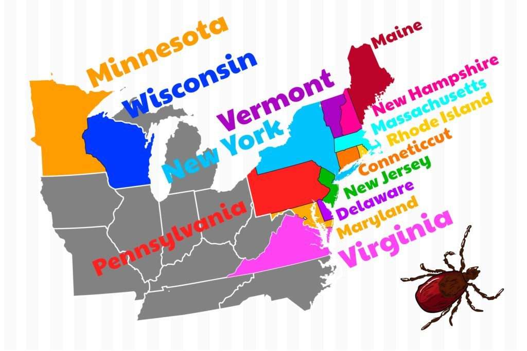 Lyme Disease: States Where You