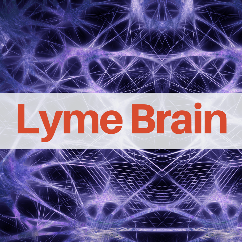 LYME SCI: When brain inflammation persists after Lyme disease treatment