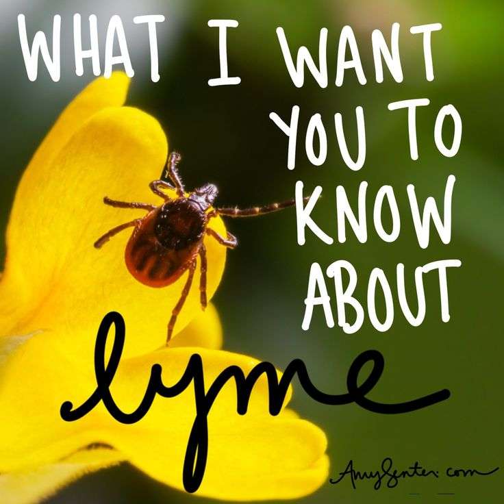 Pin on Healing Lyme Disease