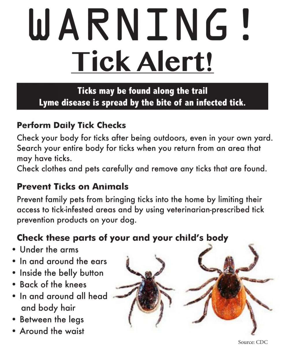 Prevent Lyme Disease