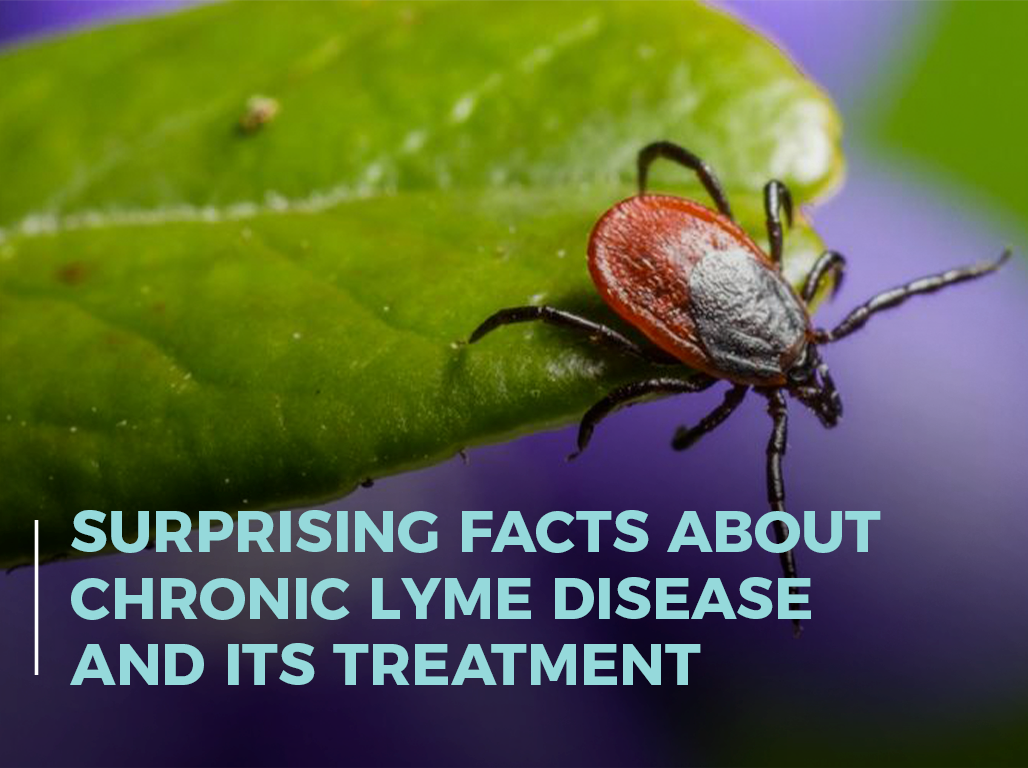 Surprising Facts About Chronic Lyme Disease and Its Treatment