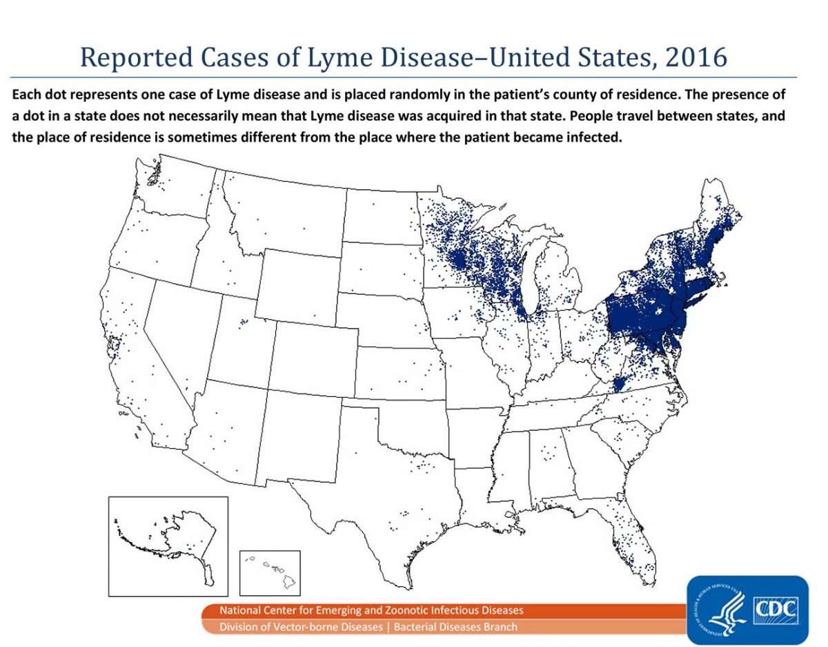 Why Lyme Disease Keeps Spreading in the U.S.  By Susan Abram