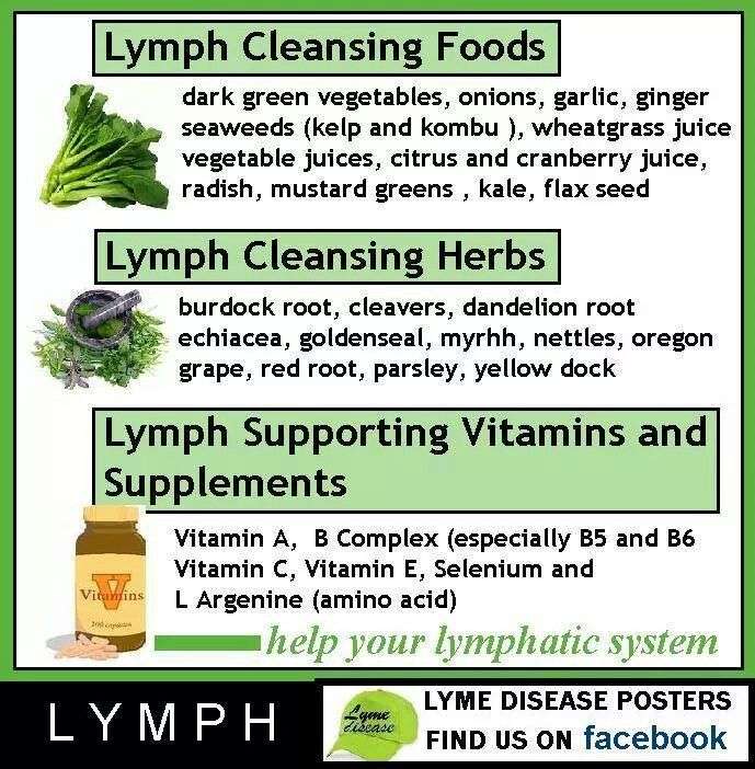 17 Best images about Lyme disease on Pinterest