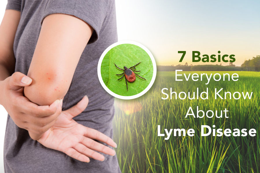 7 BASICS EVERYONE SHOULD KNOW ABOUT LYME DISEASE!