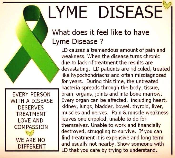 731 best Lyme Disease, Babesia, Bartonella, Ehlers
