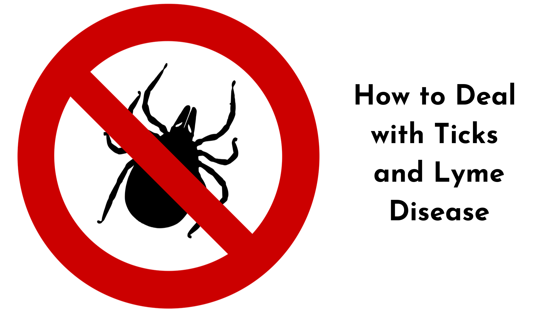 How to Deal with Ticks and Lyme Disease