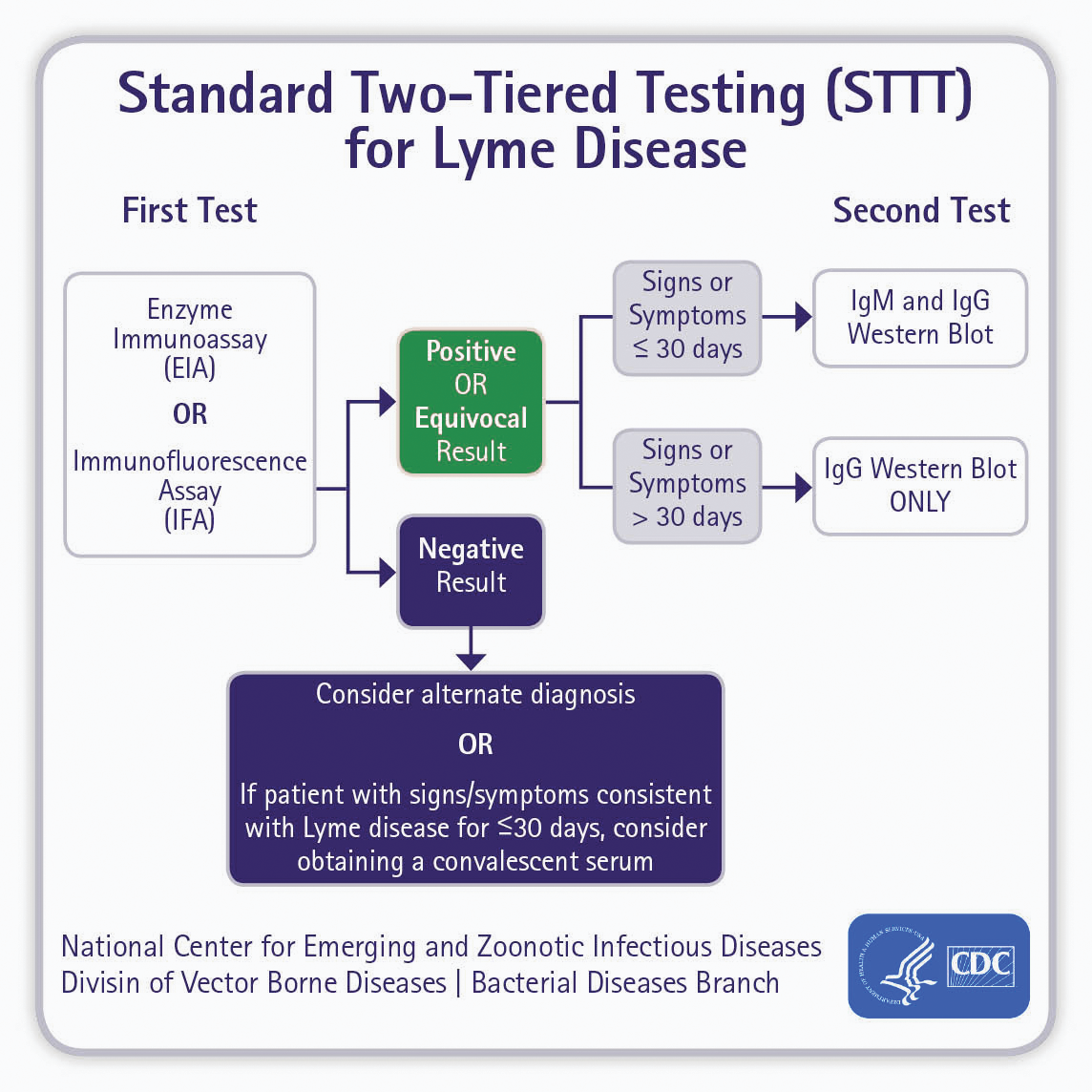 Improved detection of acute Lyme disease with MTTT