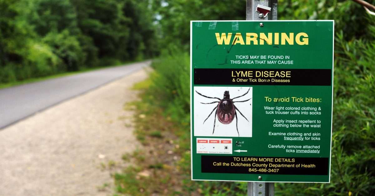 Lyme disease: Congress approves legislation prioritizing research