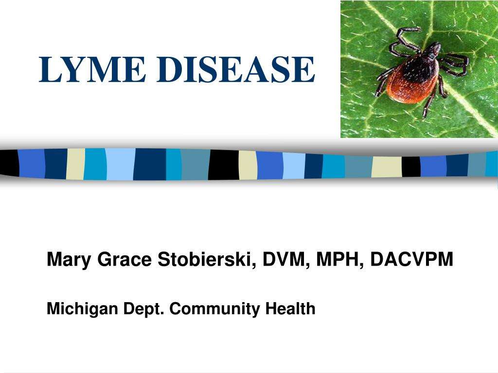 Lyme Disease Doctors In Michigan