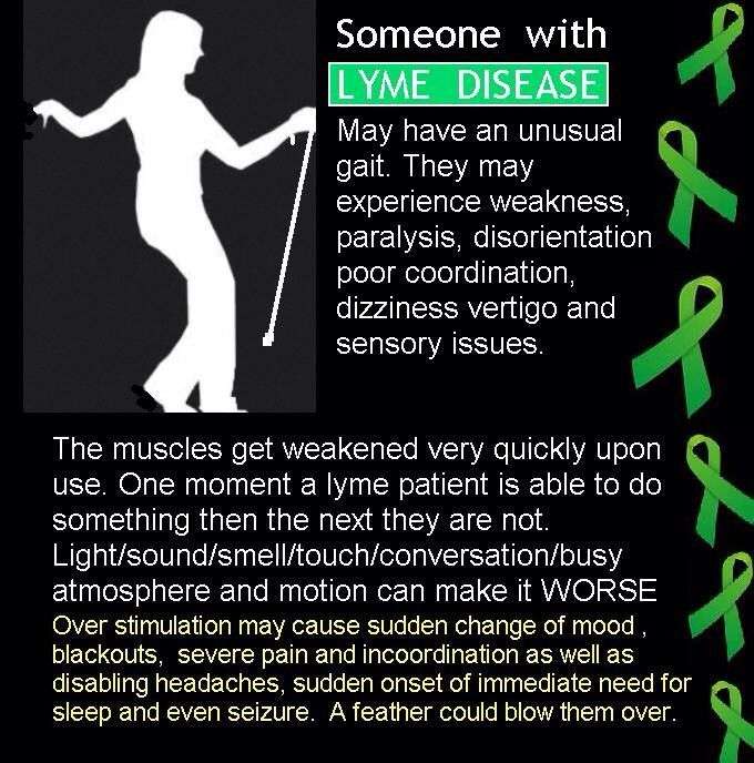 more lyme symptoms