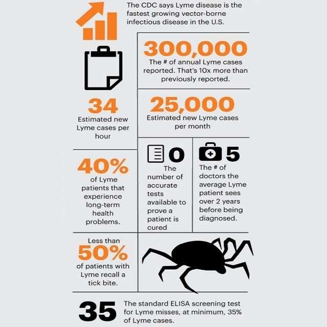 Pin by Megan Smith on Lyme Disease