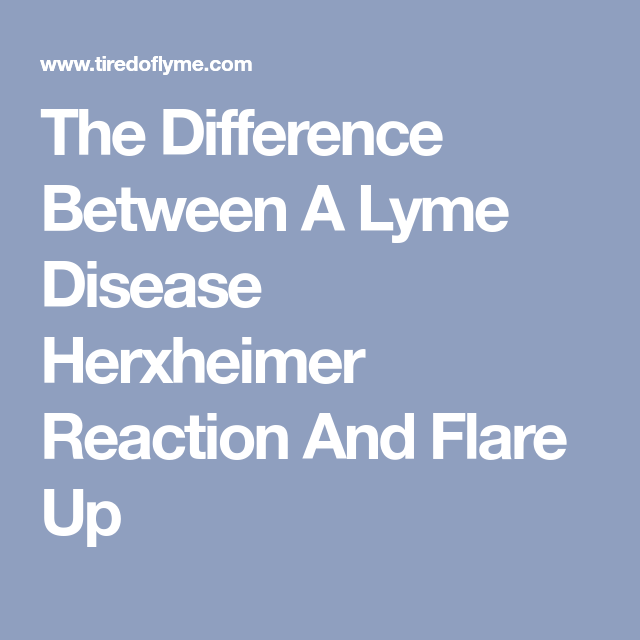 The Difference Between A Lyme Disease Herxheimer Reaction And Flare Up