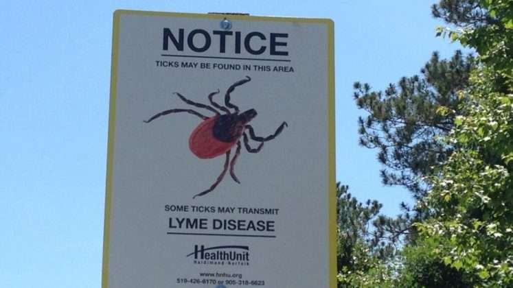 Ticks and Lyme disease regain focus in U.S.