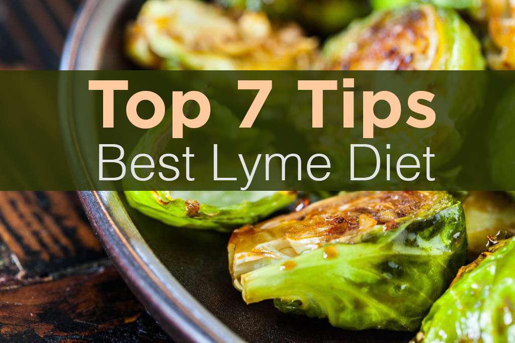 Tips For The Best Lyme Disease Diet
