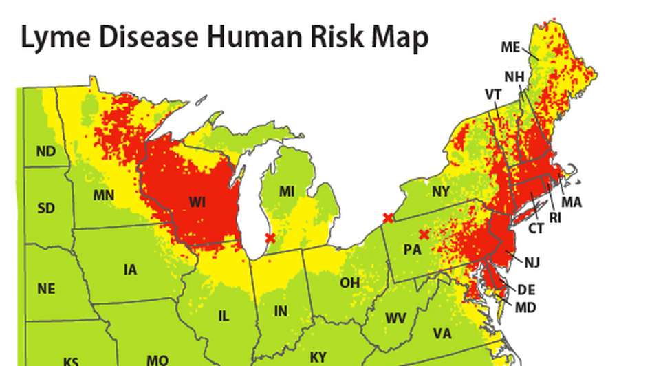Trends in Lyme Disease: Focus on the Northeast