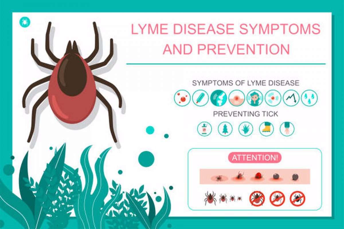 What is Pennsylvania doing about Lyme disease?