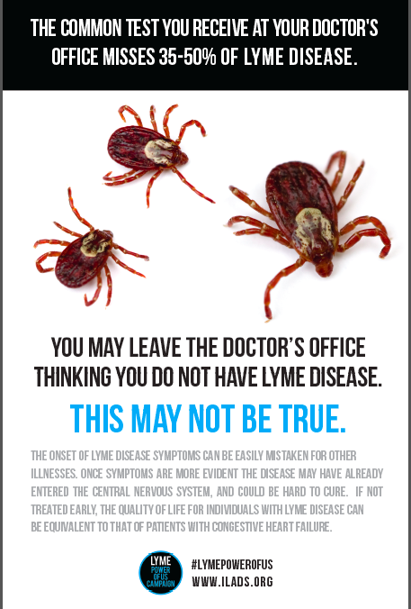 Be Aware of Lyme Disease ~ Part II  gluten free zen