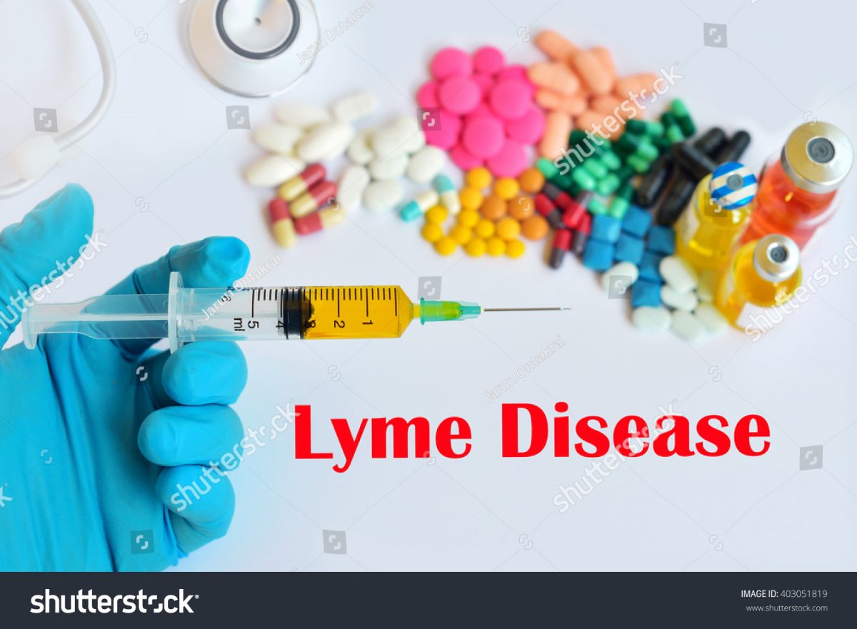 Drugs Lyme Disease Treatment Stock Photo (Edit Now) 403051819 ...