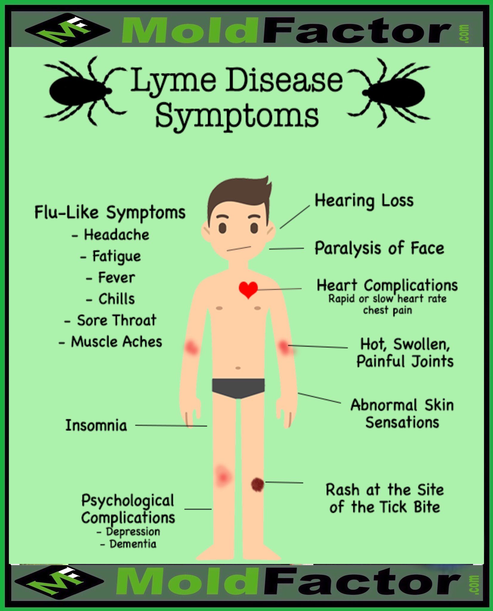 Lyme Disease Symptoms in 2020