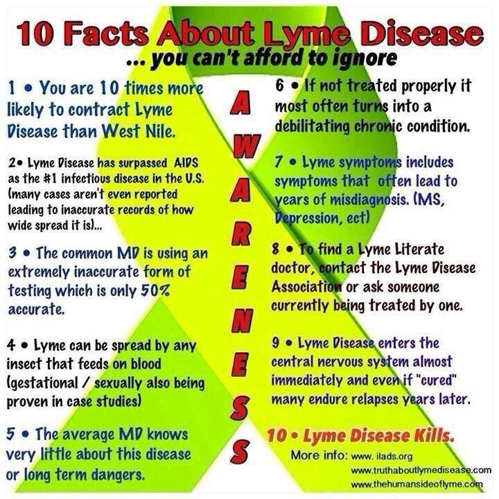10 FACTS ABOUT LYME DISEASE