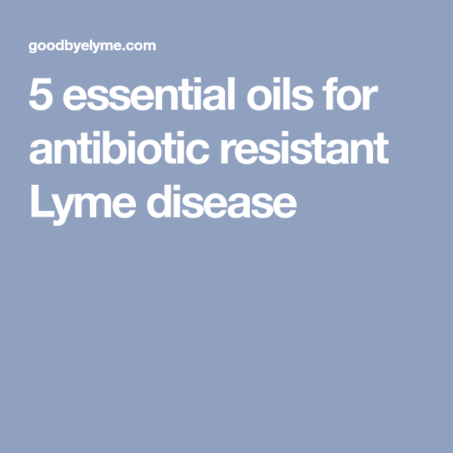 5 essential oils for antibiotic resistant Lyme disease