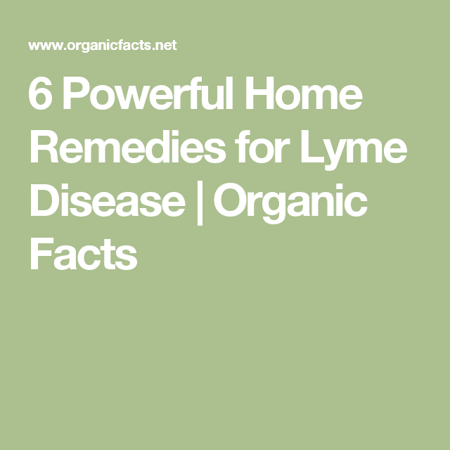 6 Powerful Home Remedies for Lyme Disease