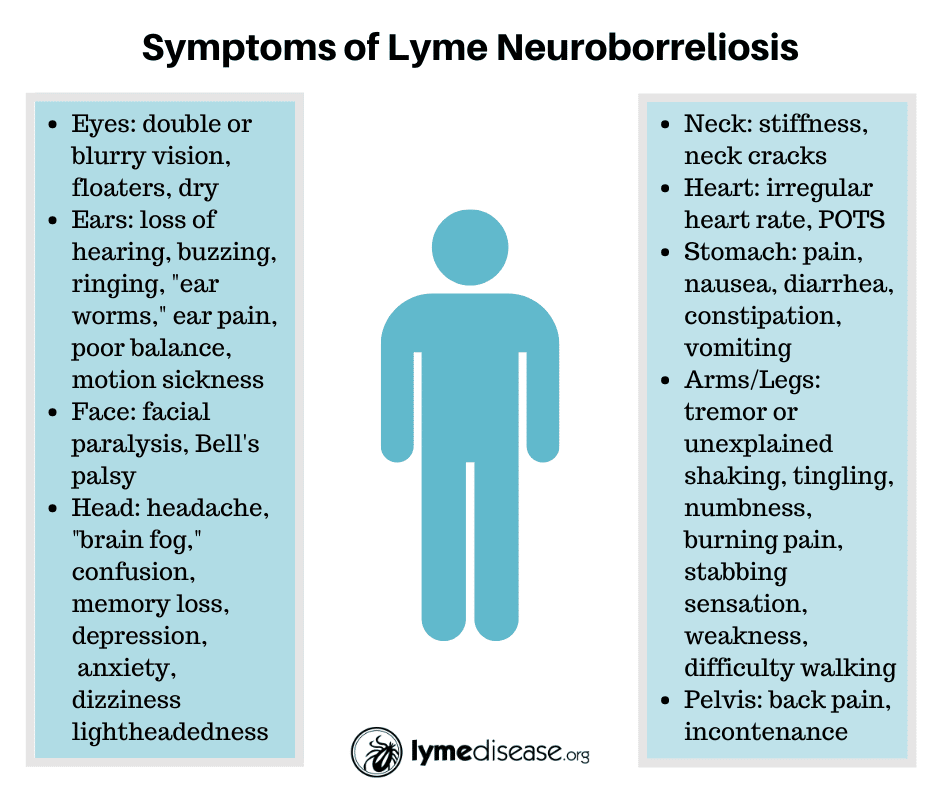 Can Lyme Disease Cause Memory Loss