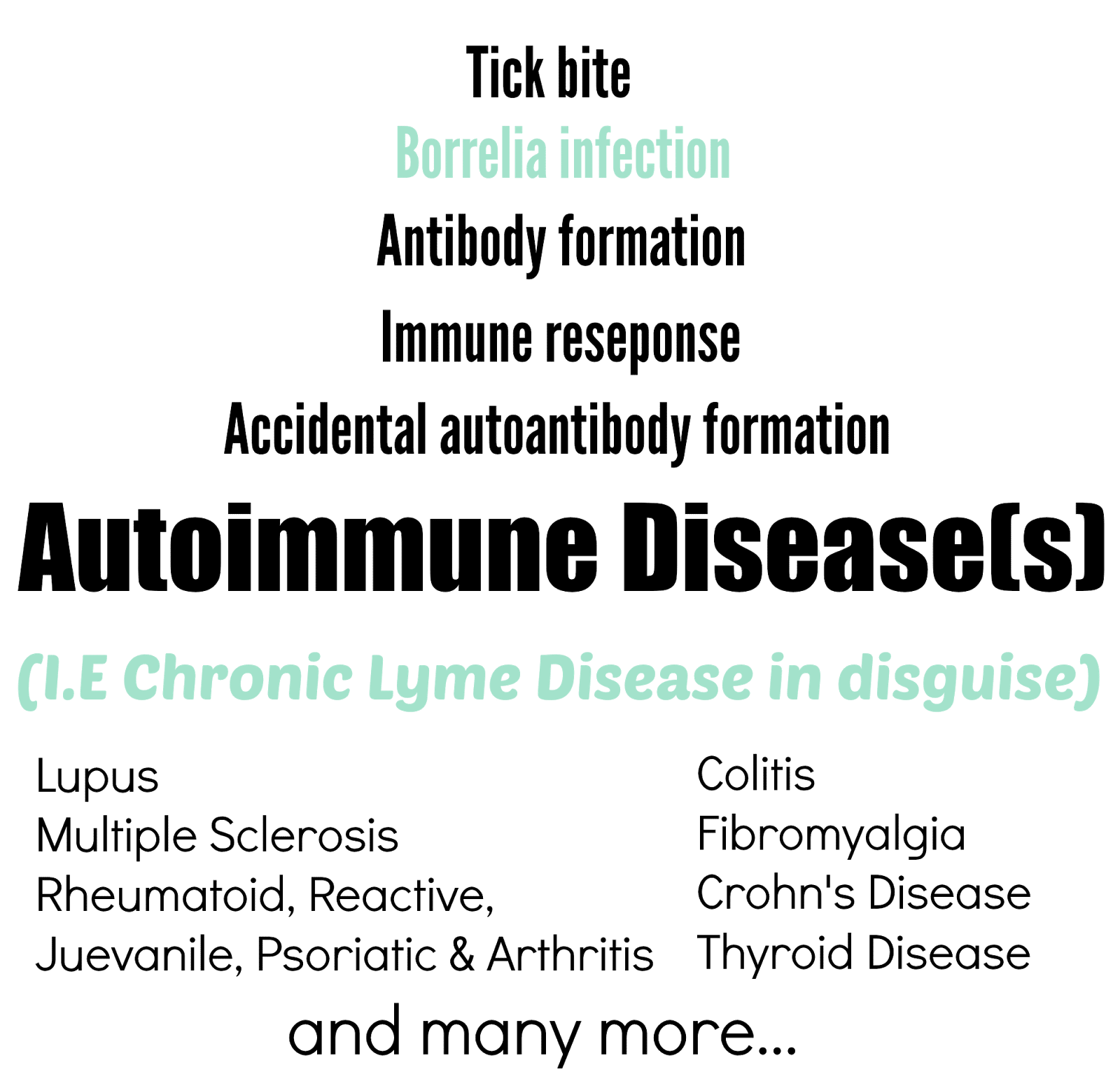 Chronic Lyme Disease and the Autoimmune Connection