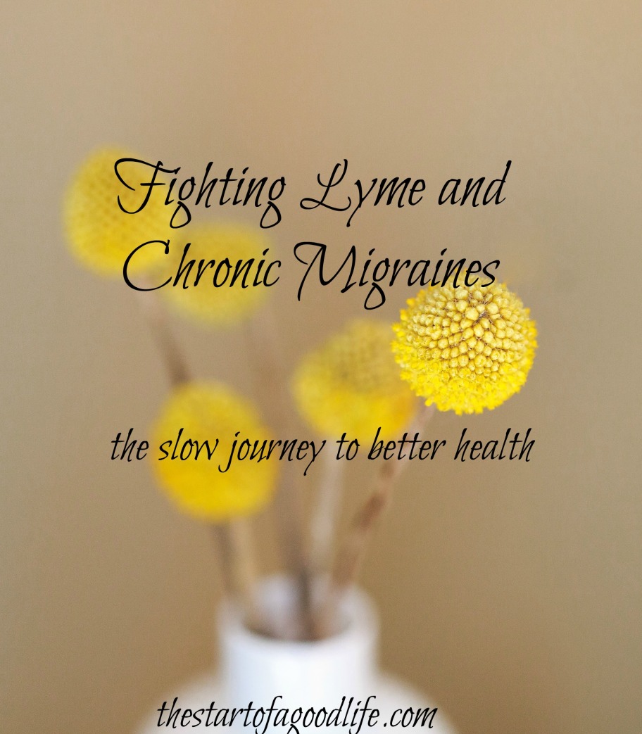 fighting lyme disease