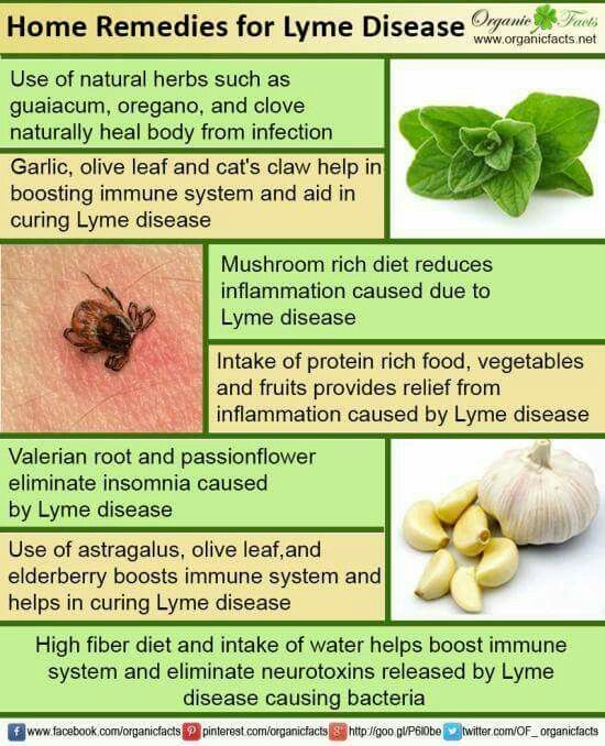 Home remedies for Lyme Disease #SkinCareRemediesAcne
