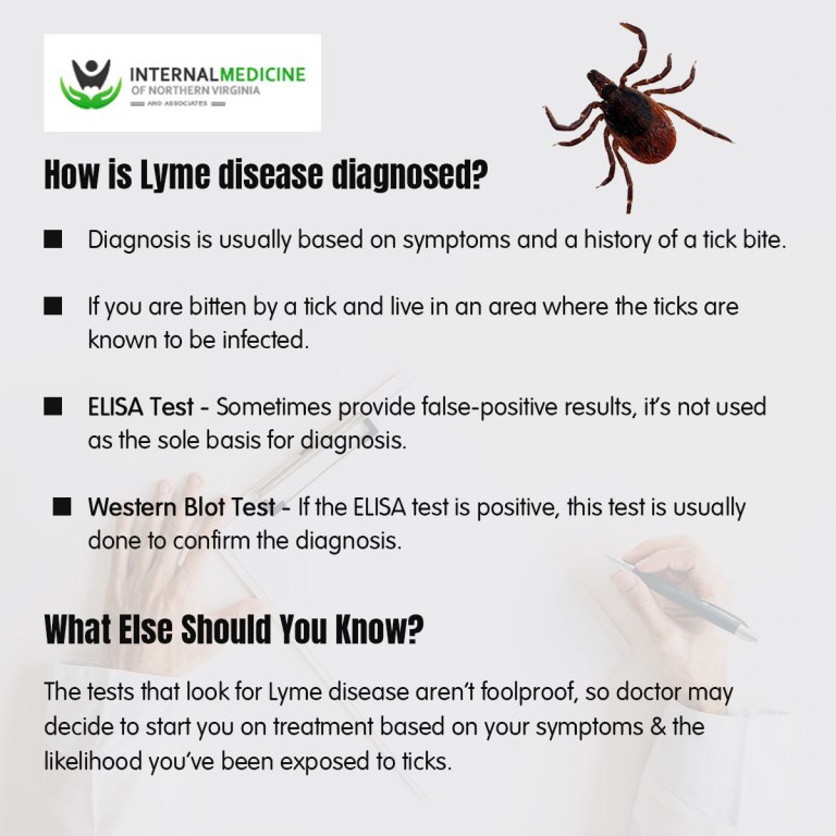 How is Lyme disease diagnosed?  IMNVA
