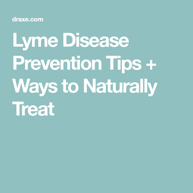 Lyme Disease Prevention Tips + Ways to Naturally Treat