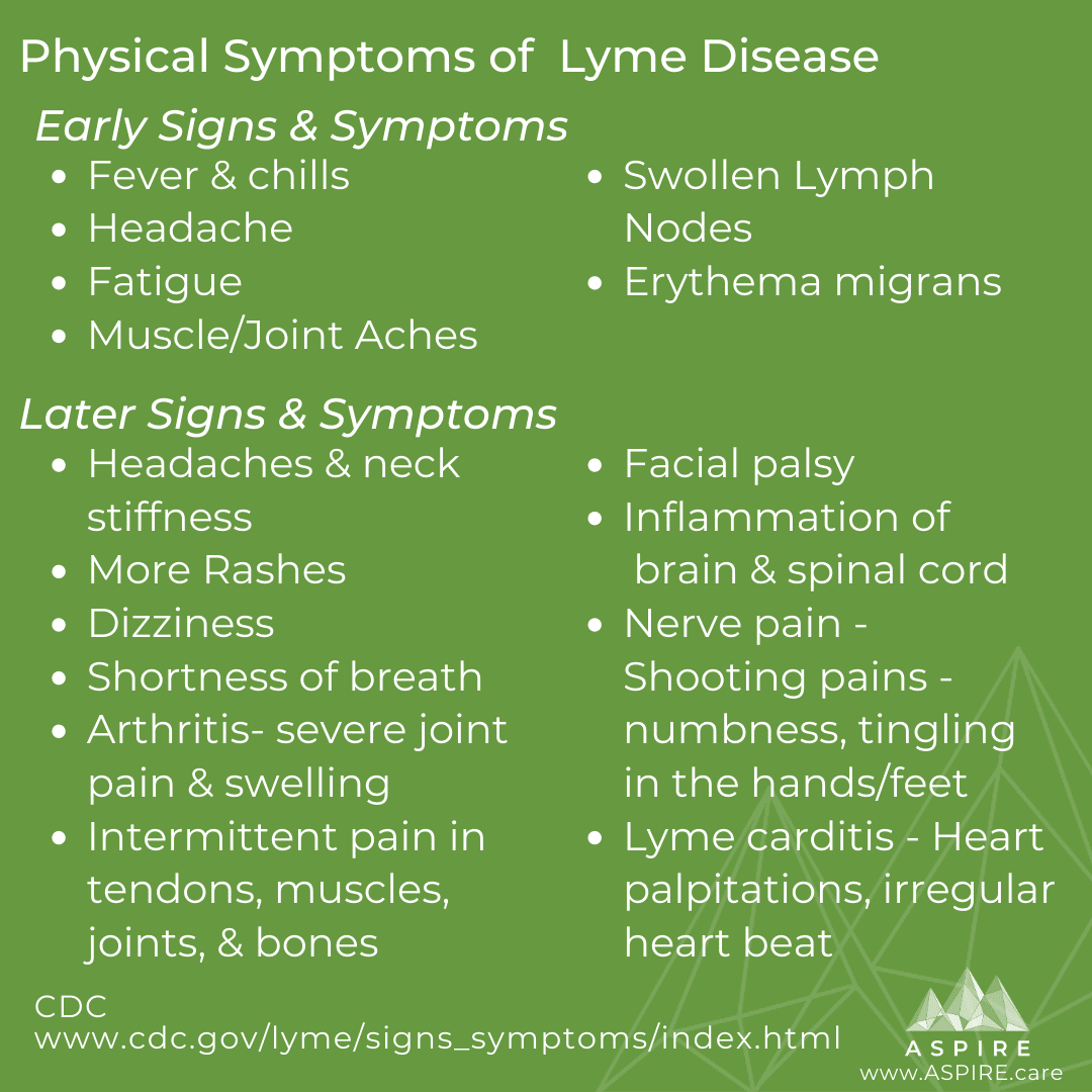 Lyme Disease Symptom Overview