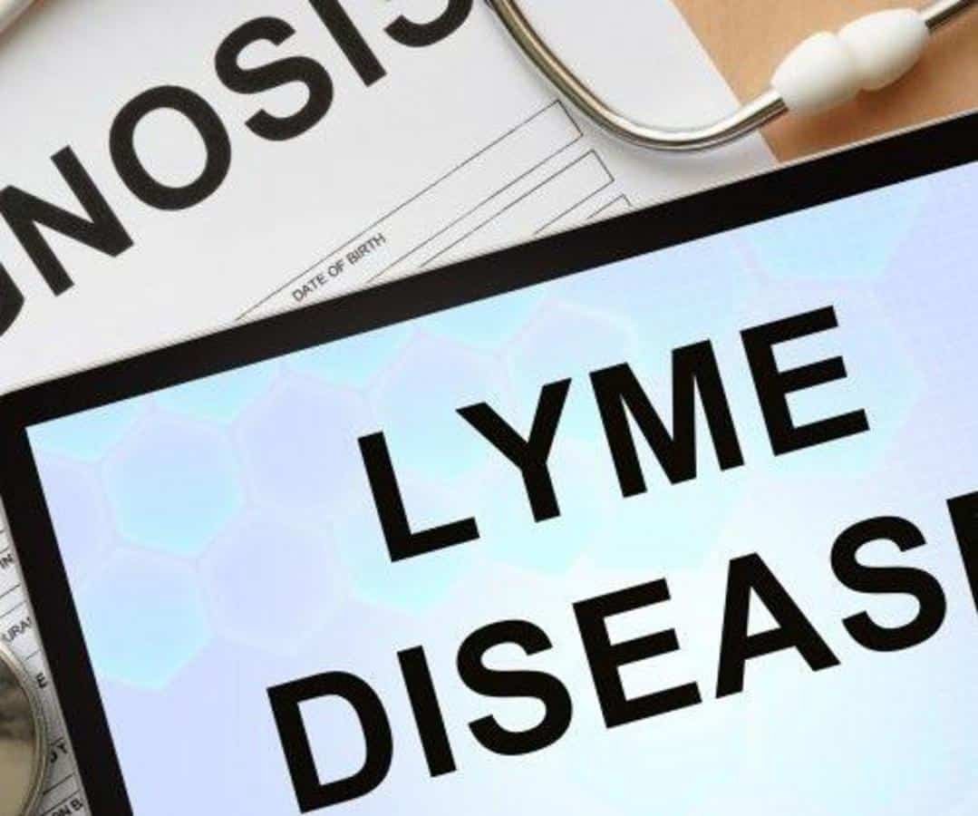 Lyme disease: the CDCâs greatest coverup and what they don